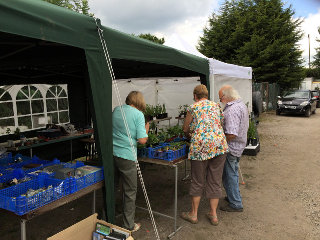 Plant Stall