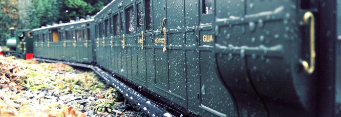 Wet green train