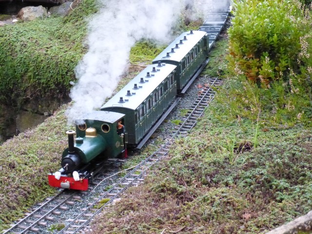 Christmas Party and Night Run