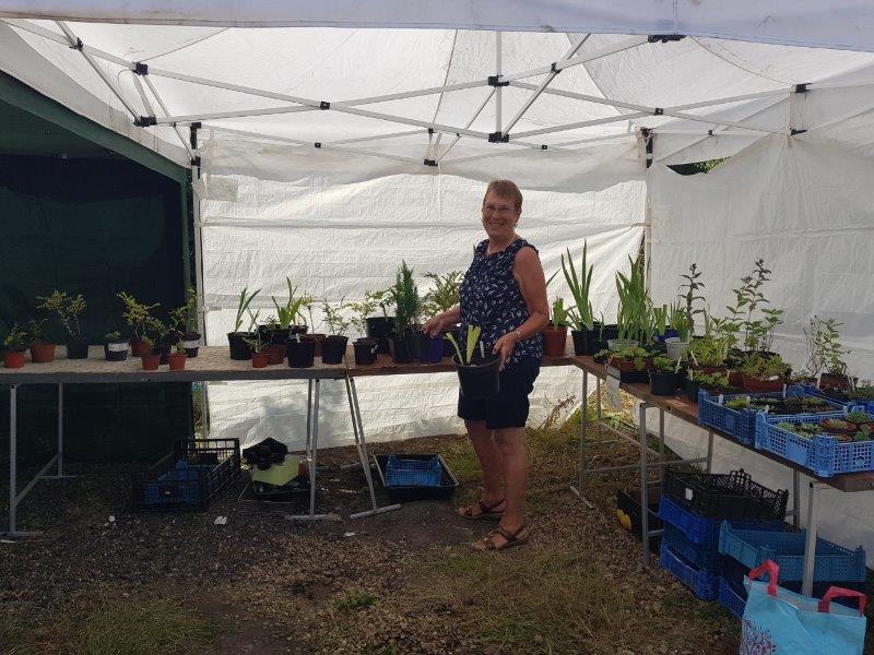 General view of the event