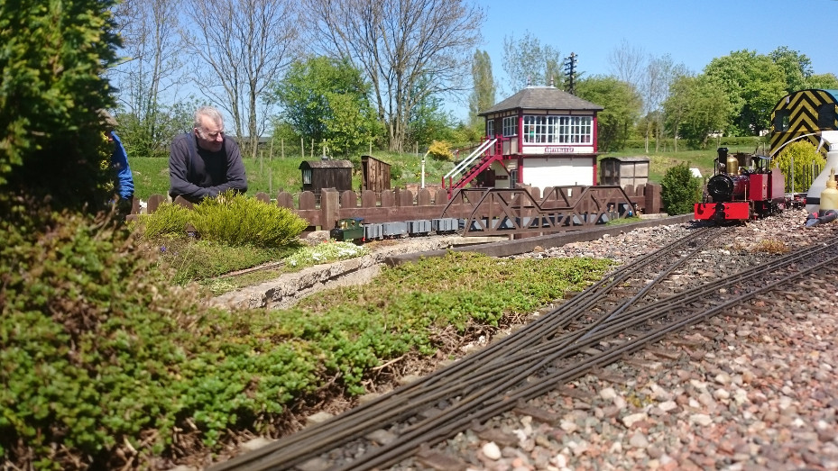 Vintage and oscillator