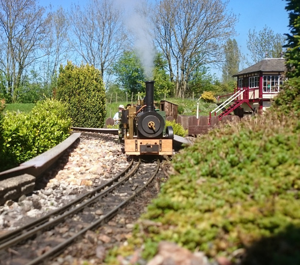 Vintage and oscillator