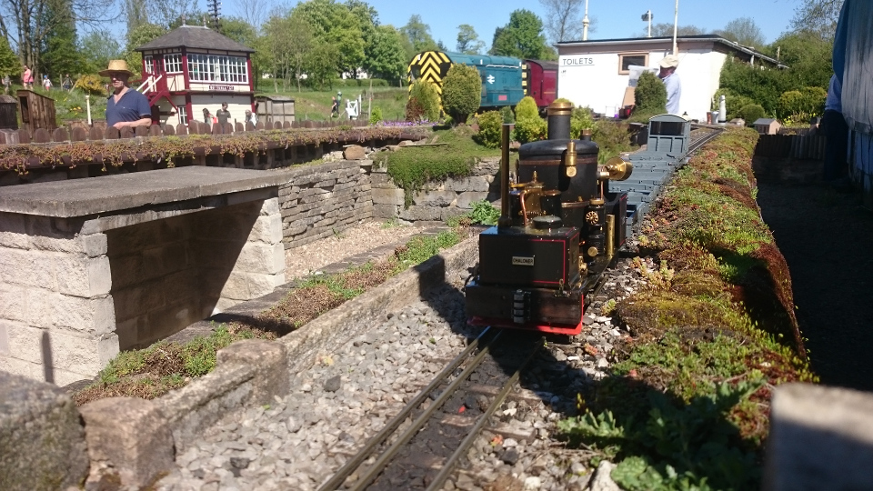 Vintage and oscillator