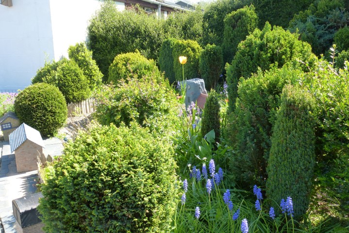 Vintage and oscillator