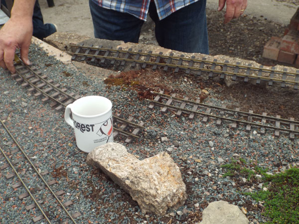 David's Loop and Cabin Lift Session