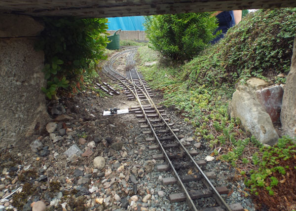 David's Loop and Cabin Lift Session