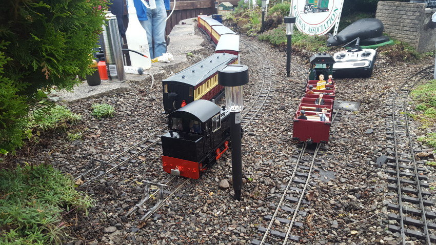 Scenes from our Night Run