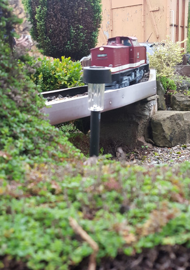 Scenes from our Night Run