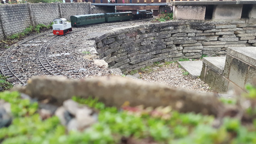 Scenes from our Night Run