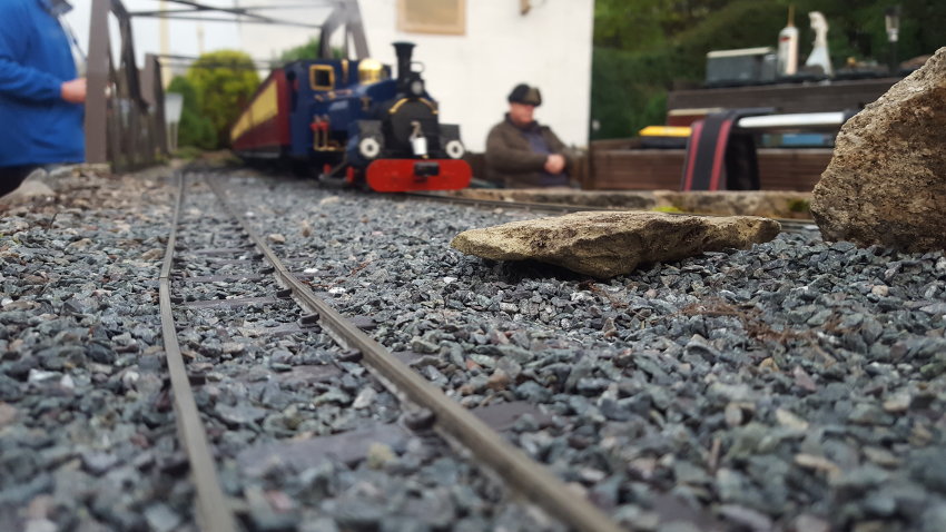 Scenes from our Night Run