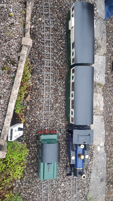 Scenes from our Night Run