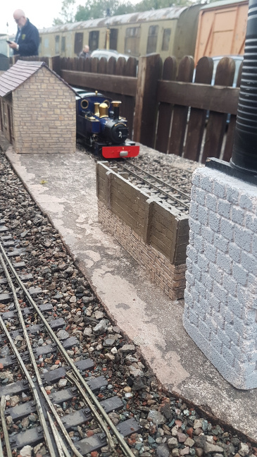 Scenes from our Night Run