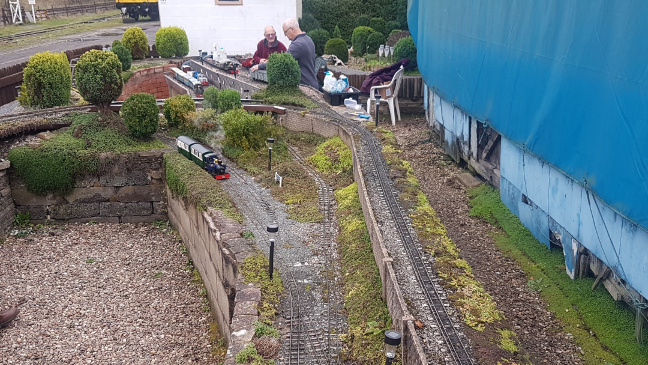 Scenes from our Night Run