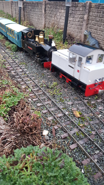 Scenes from our Night Run