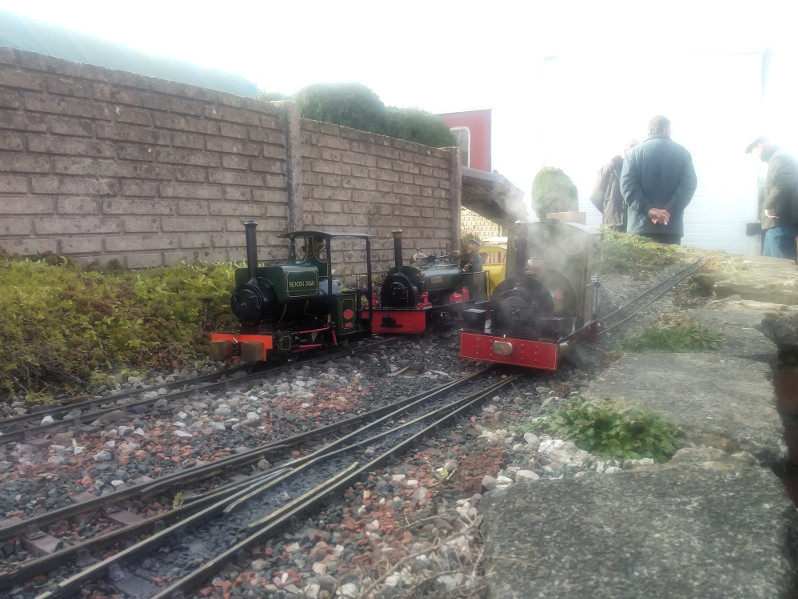 Early Spring Wednesday