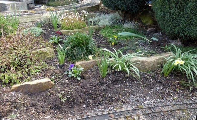 Spring Flowers in the Garden