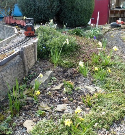 Spring Flowers in the Garden