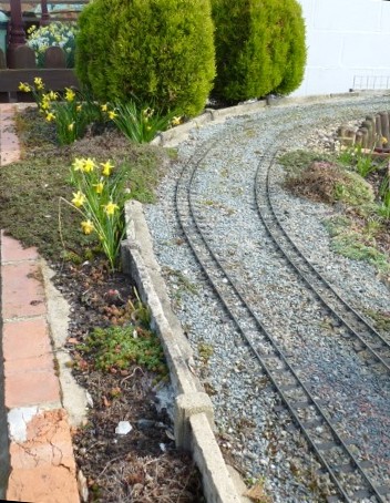 Spring Flowers in the Garden