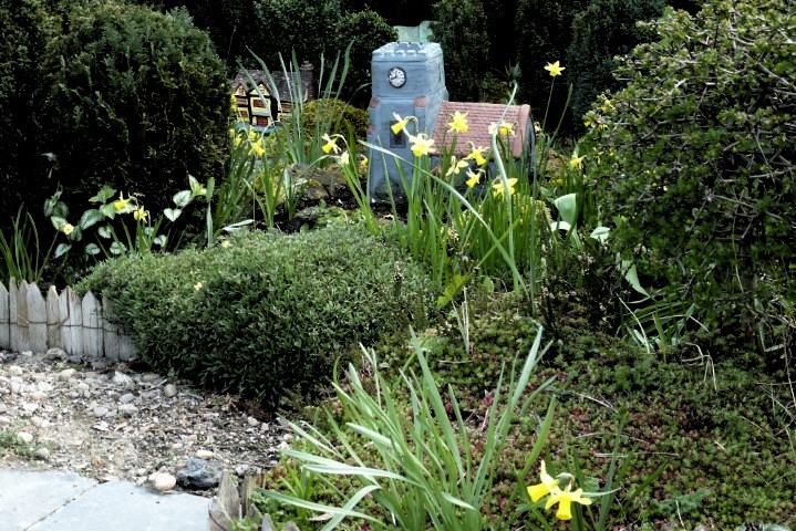 Spring Flowers in the Garden