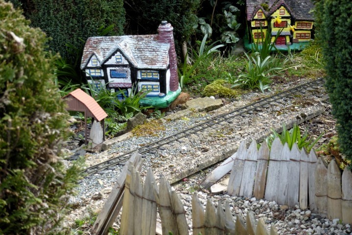 Spring Flowers in the Garden