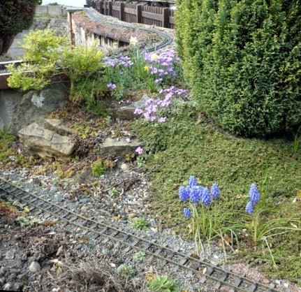 Spring Flowers in the Garden