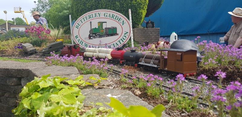 Engines attending Mamod Day