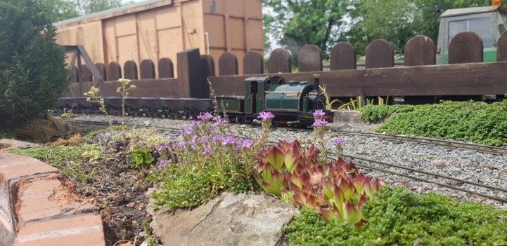 Engines attending Mamod Day