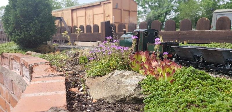 Engines attending Mamod Day