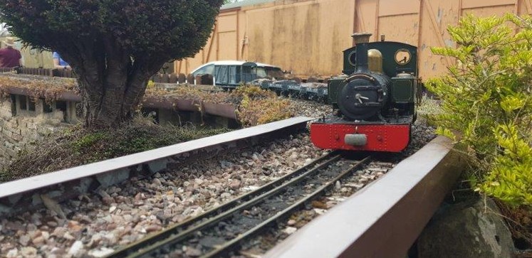 Engines attending Mamod Day