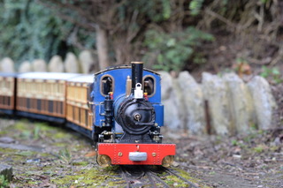 Train running on AGM day