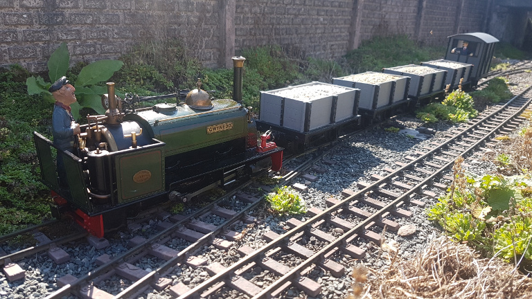 Scenes of loco competitions