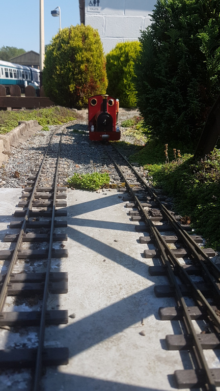 Scenes of loco competitions