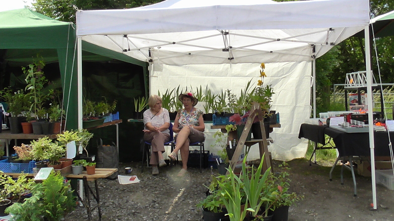 Glenis and Mary on the plant stall