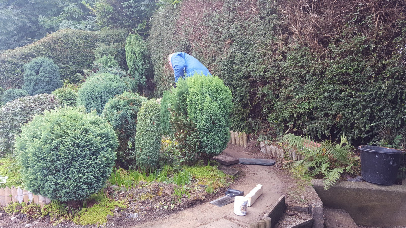 Scenes from relaying the back loop