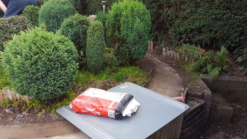 Scenes from relaying the back loop