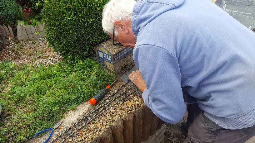 Scenes from relaying the back loop