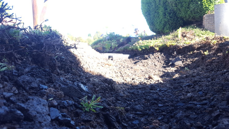 Scenes from relaying the front track