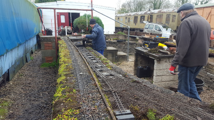 Rear track renewal photo