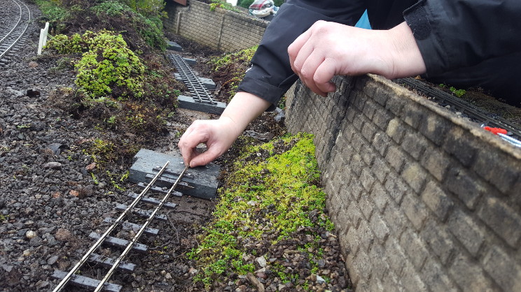 Rear track renewal photo