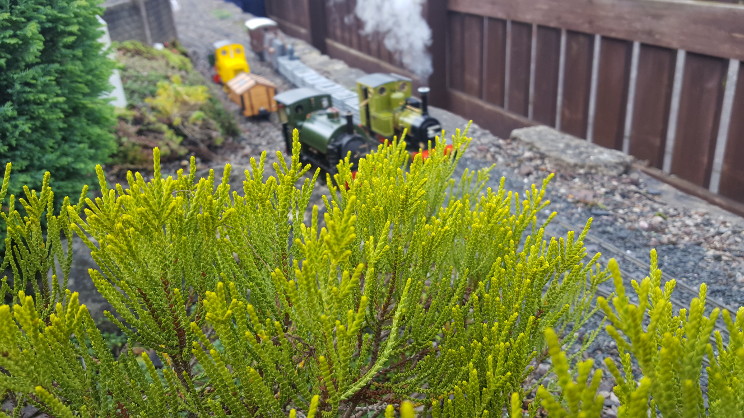 Rear track renewal photo