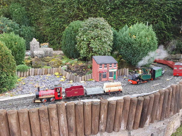 Locos running on Sunday