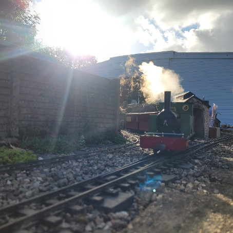 Sunny Saturday Running