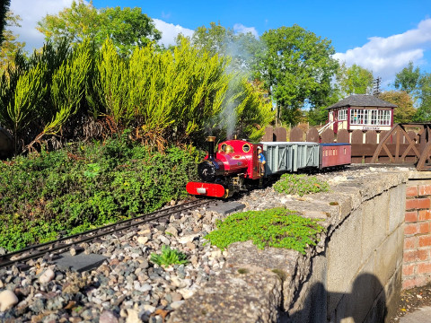 Sunny Saturday Running