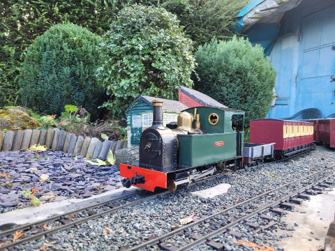 Sunny Saturday Running