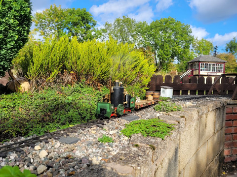 Sunny Saturday Running