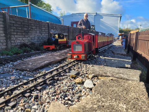 Sunny Saturday Running