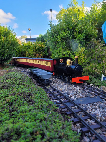 Sunny Saturday Running