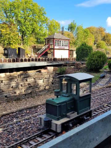 Sunny Saturday Running