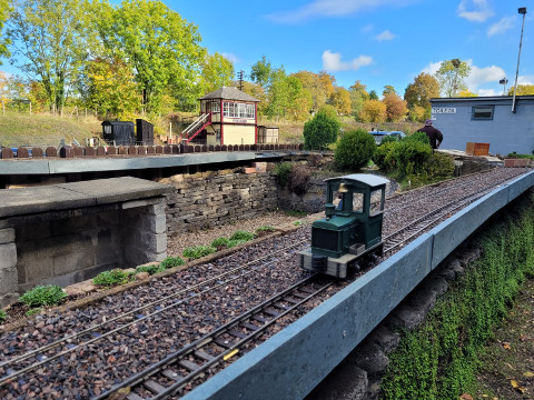 Sunny Saturday Running