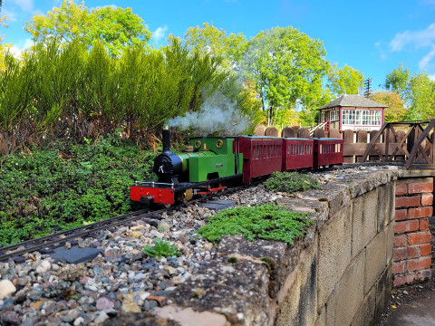 Sunny Saturday Running